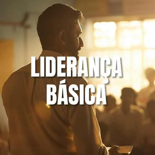 Curso de Lideran&ccedil;a B&aacute;sica